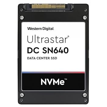 Amazon.in: Buy Western Digital Ultrastar DC SN640 2.5